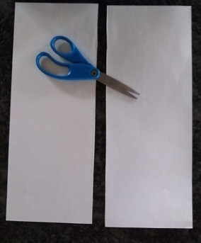 A sheet of paper cut in half