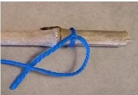 bamboo stick with blue string tied around one end