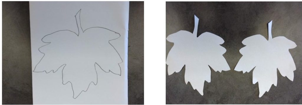 Draw and cut out your leaves