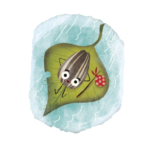 a sunflower seed relaxing on a leaf