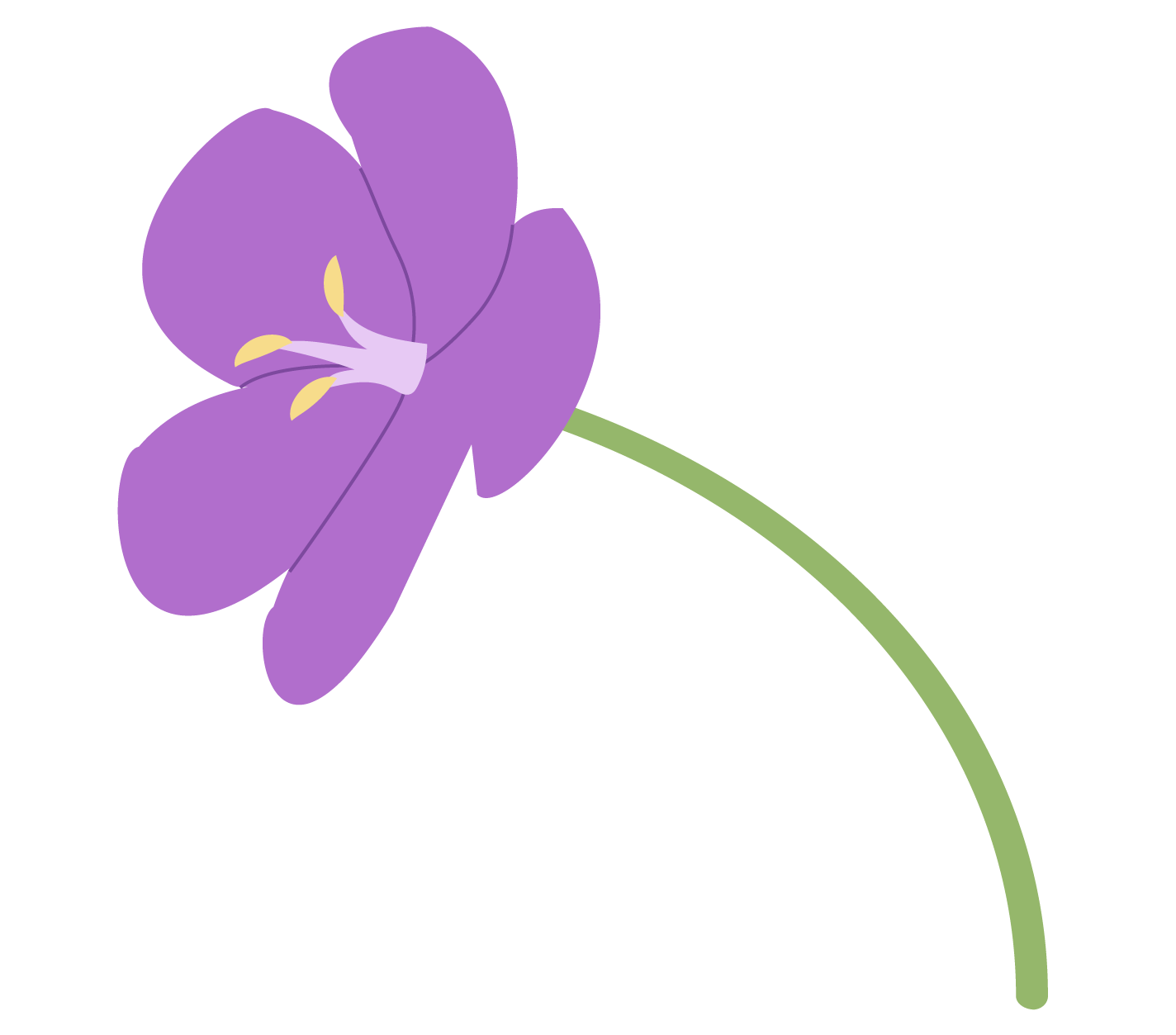 a geranium flower growing