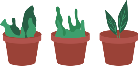 potted plants lined up
